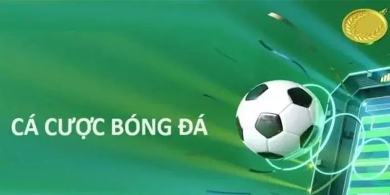 cá cược bóng đá